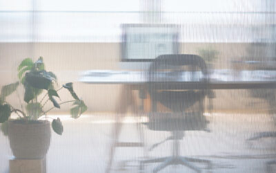 Cómo elegir la mejor gestoría para tu negocio en Almería